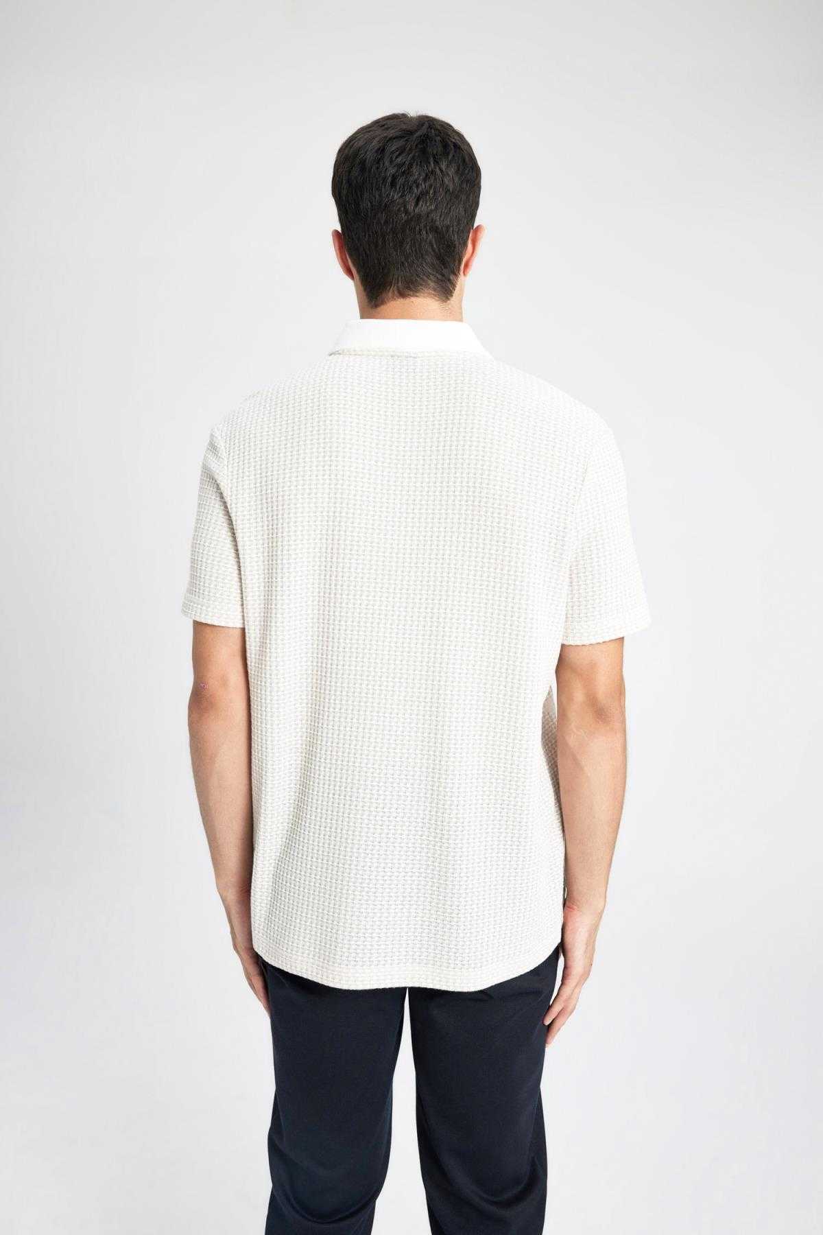 تیشرت پولو آستین کوتاه معمولی B6548ax24sp