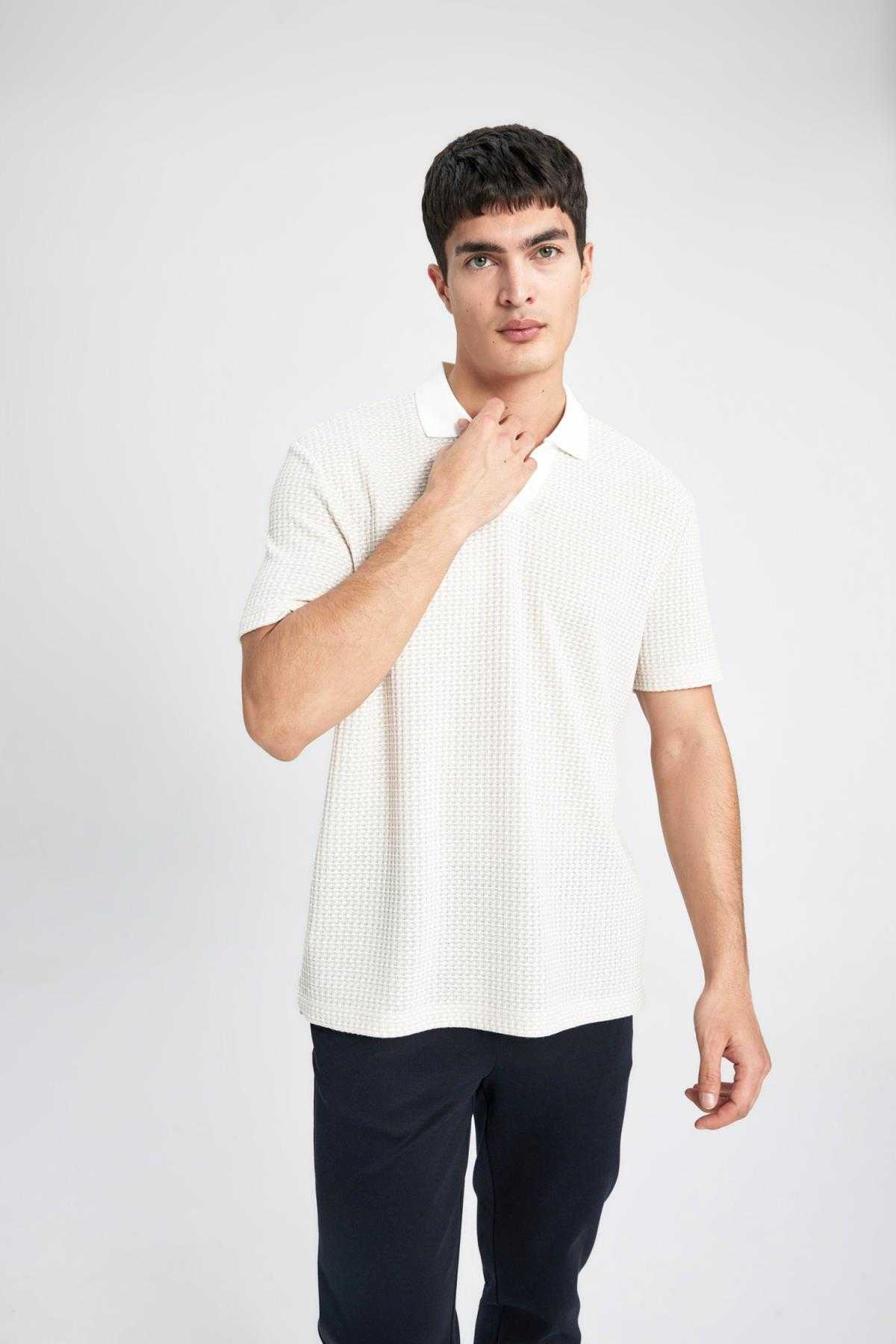 تیشرت پولو آستین کوتاه معمولی B6548ax24sp